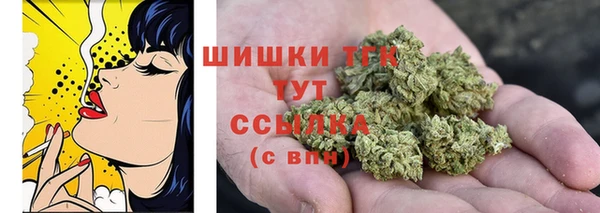 метамфетамин Богданович