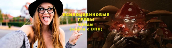 метамфетамин Богданович