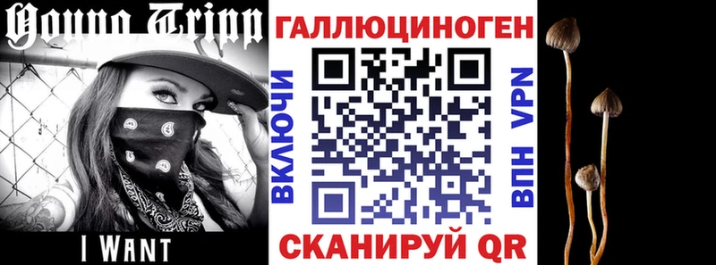 Псилоцибиновые грибы Cubensis  Купить закладки  Семёнов 